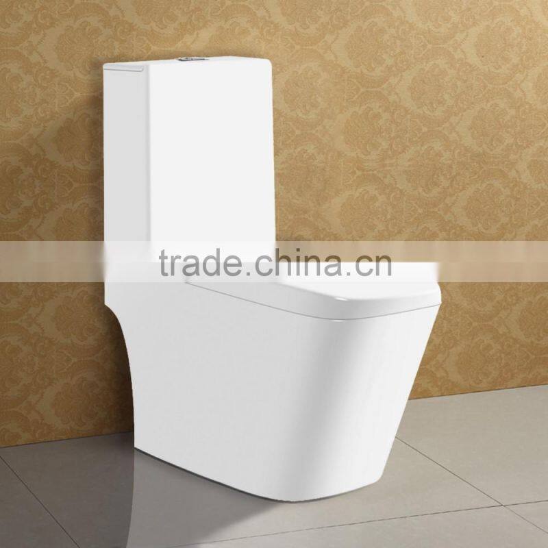 Porcelain Floor Standing One Piece Water Closet