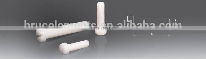 Plastic Screw DIN EN ISO 1207(DIN 84) BK1.0001