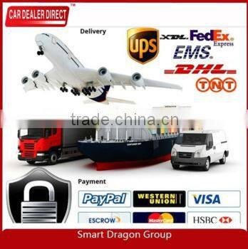 hot sale auto maintain plastic roof hat