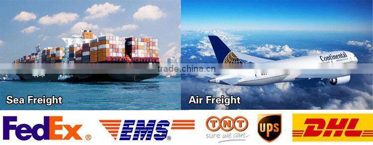 belt clip case for ipad