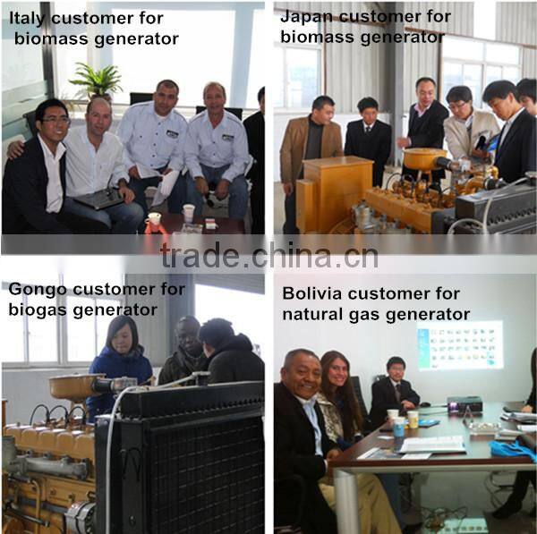 CE approve electrical power coal generators