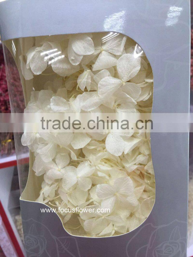 Top Quality Flower Export Preserved Flower Colorful Wholesale Artificial Hydrangea Flowers