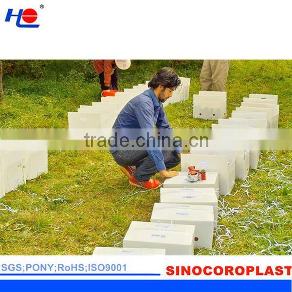 Customized Corrugated Plastic Fruit Crate