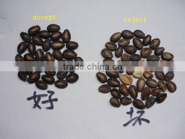 2016 hot sell with 5000+pixel small color sorter