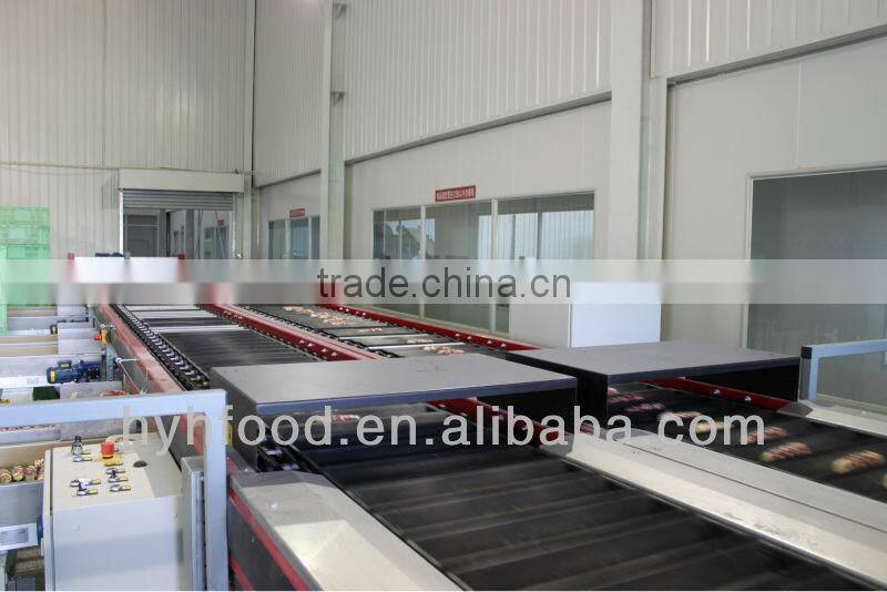 IQF Sweet Corn Cob Fresh Steamed Corn