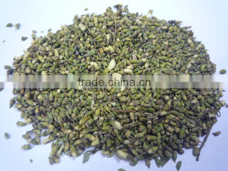 Dried flos sophora japonica /pagoda tree flower