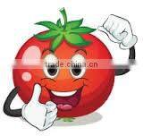 70g Sachet Tomato Paste from China Company