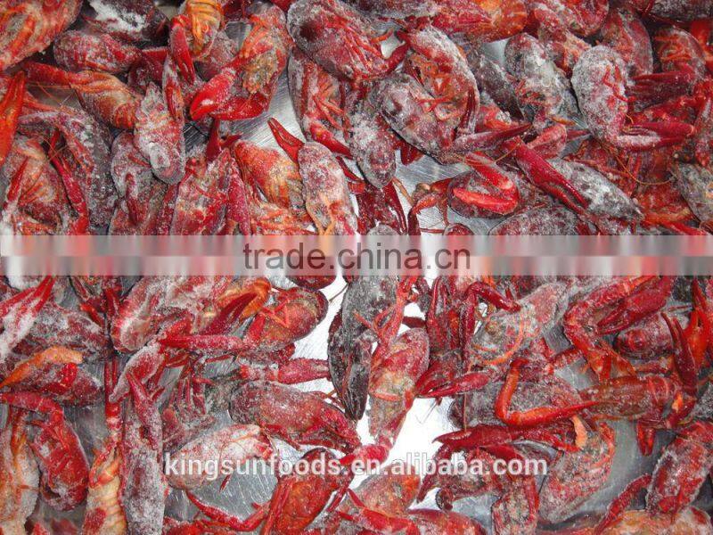 Frozen crawfish fish seafood