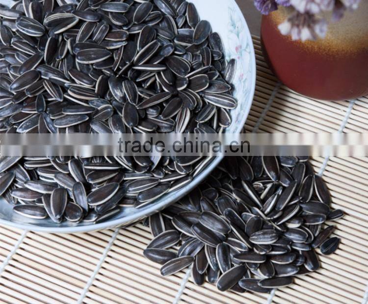 Big size human consumption Chinese sunflower seed