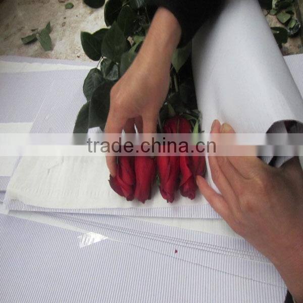 Wholesale fresh cut flower rose plants of various colors