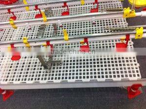 Plastic Chicken floor