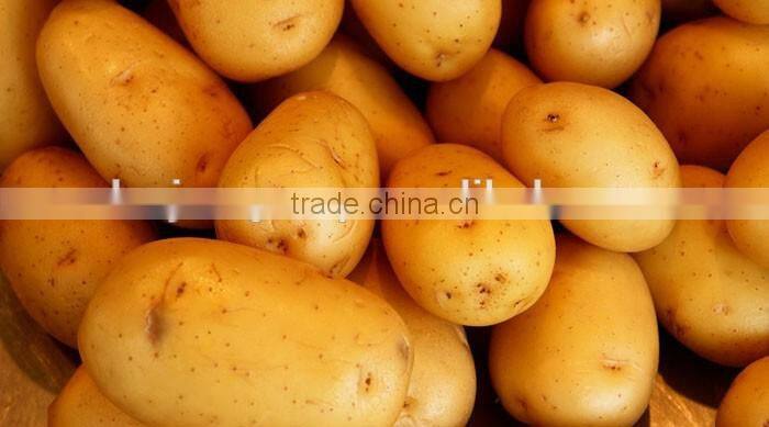 Automatic Frozen french fries machine and french fries production line