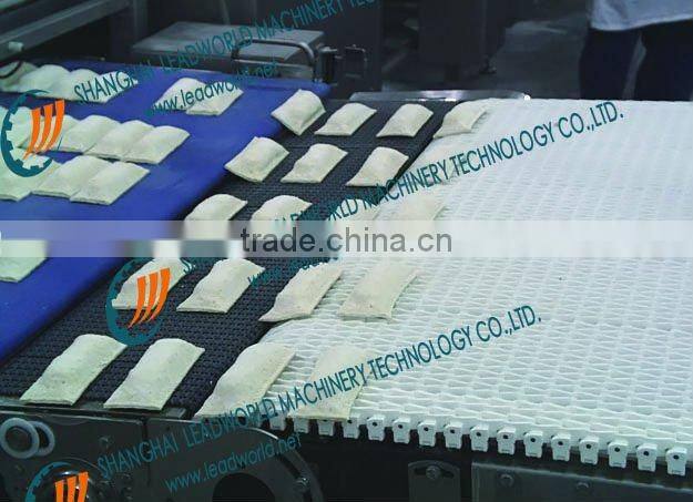 dumpling frozen food conveyor
