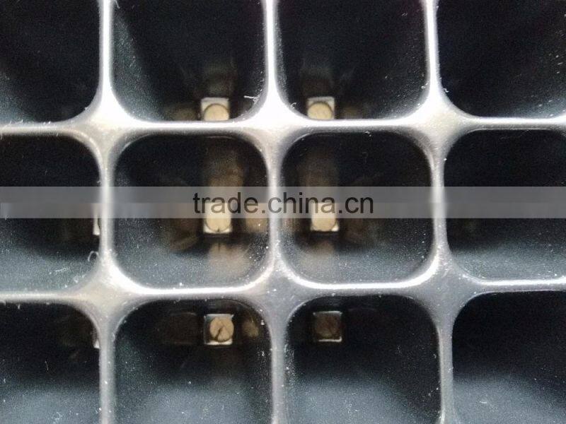204cells hydroponic seed germinator trays, 0.8mm thickness, 165g