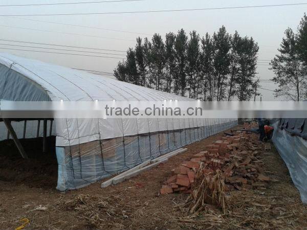 200mic, single span PE greenhouse film for Poultry cultivation