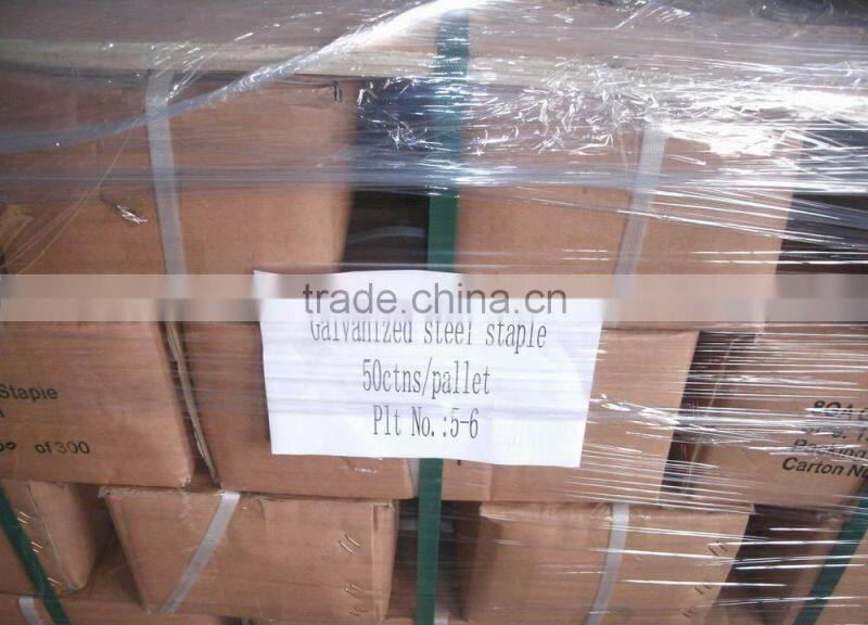 Professional MANUFACTURER sell sod staple/u type nail