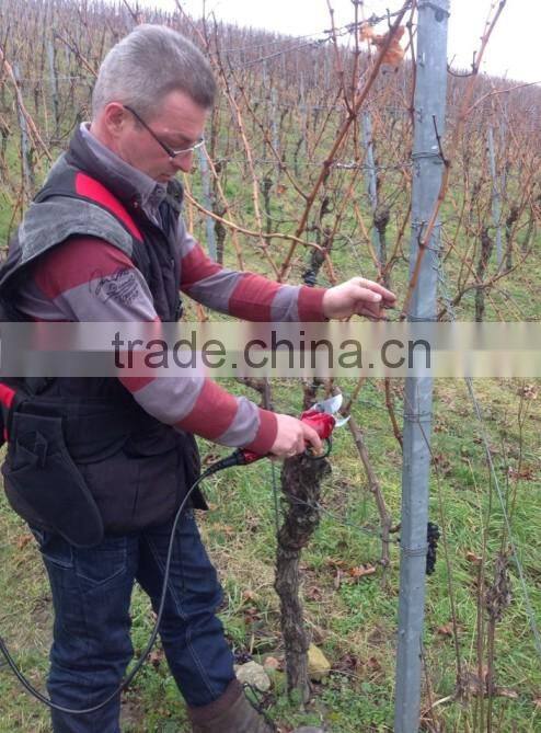 Long-Reach Electric Telescopic pole pruner