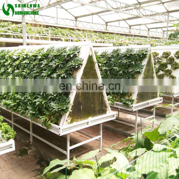 Agricultural Greenhouse Wall Hydroponic Growing Systems