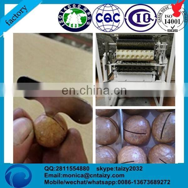 200kg/h hawaii tapping machine | macadamia nut opening machine | Hawaii nut opening machine