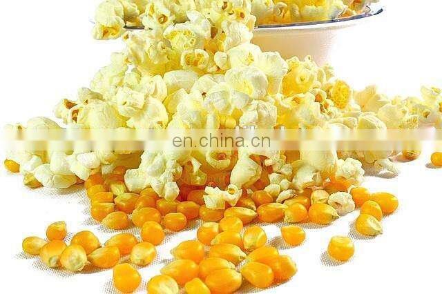 Latest Stainless Steel Industrial Large Popcorn Making Machine For Sale