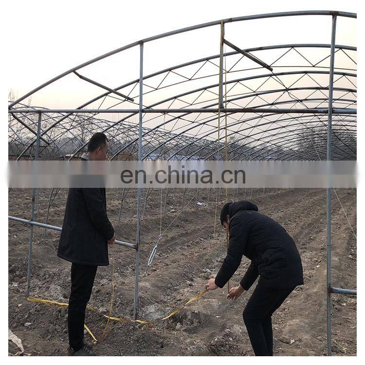 High quality cheap price agricultural indoor solar greenhouse frame with plastic sheet tent