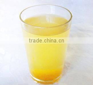 Newest function commercial battery sugarcane juicer