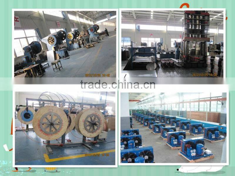 Quiet low noise 2 HP refrigerant unit