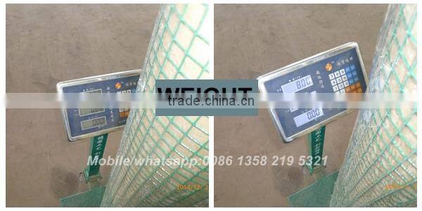 china factory green color 1/2 inch Vinyl Coated welded wire mesh