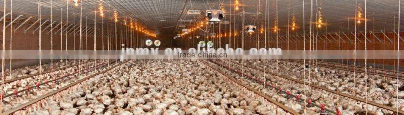 hot sale good cheap automatic layers nipple drinker