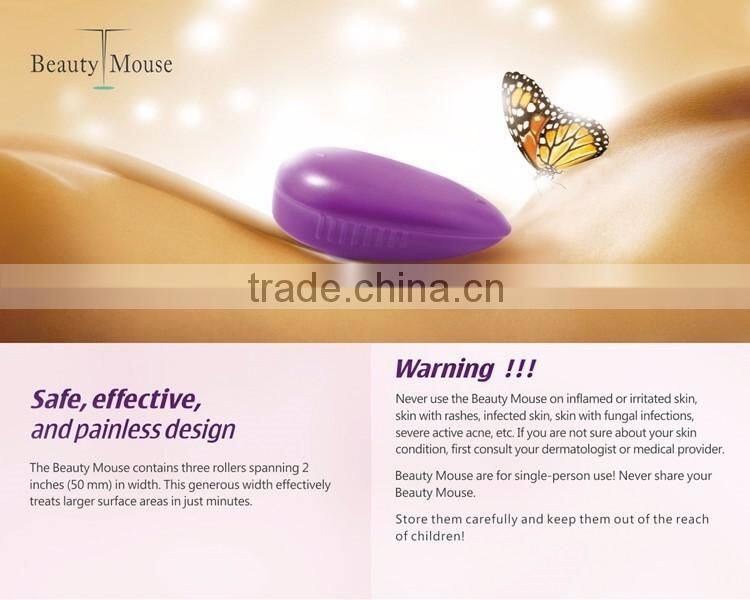 Fashion Mouse Skin Care Roller 3 In 1 Stainless Micro Needle Therapy Face Needle Roller Massager