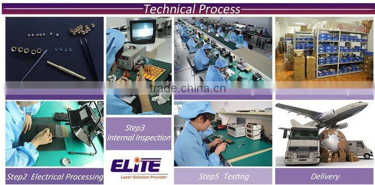 Long life industrial violet laser pointer