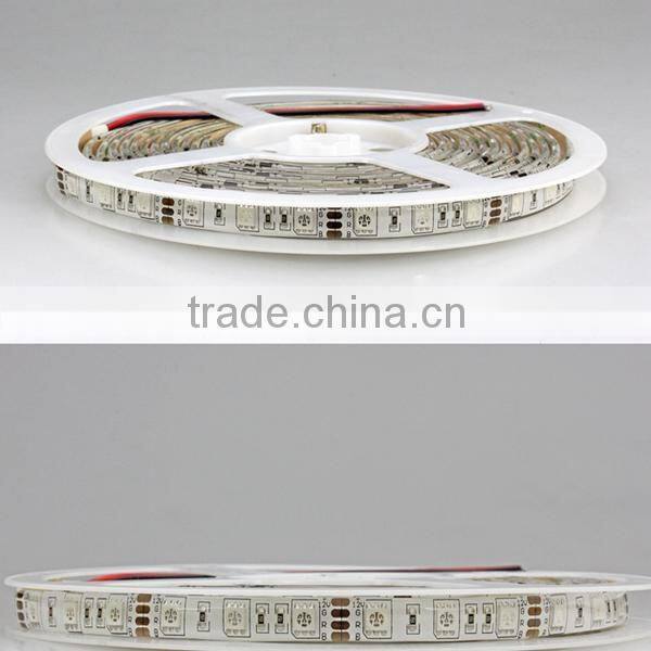 Festival Color Led Digital Strip Light SMD5050 With CE