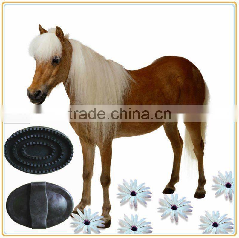 2013 new professional horse care products
