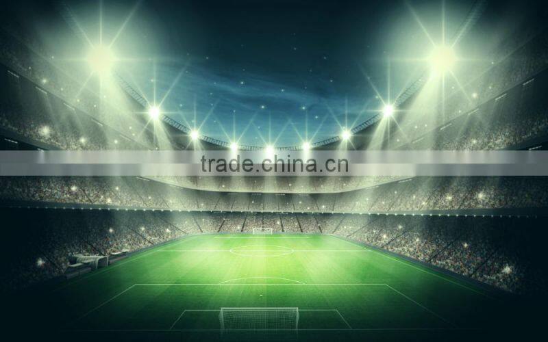 Sanan Chips Anti-lighting shock 3000K-6500K 2 years warranty led 50w led flood lights 50w IP67 High Waterproof LED Flood Light