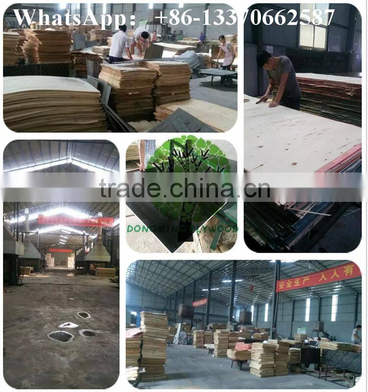 Laminate Veneer Board/Octagon Plywood