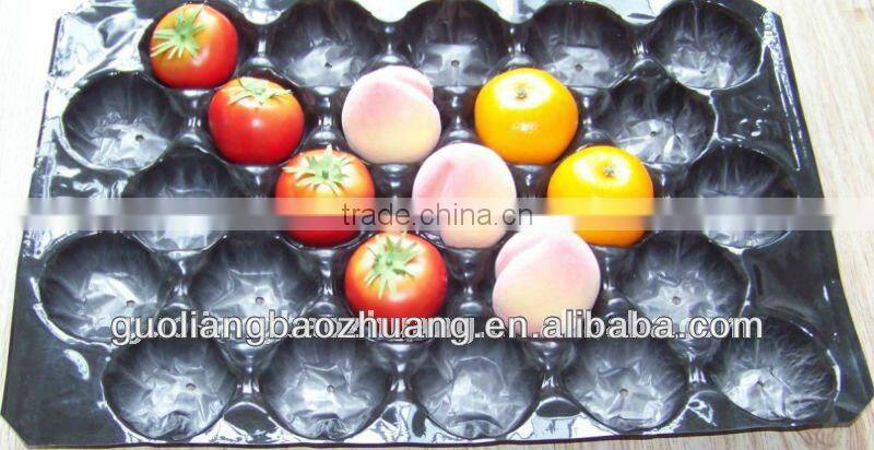 Recycled Fruit Tray Punnet