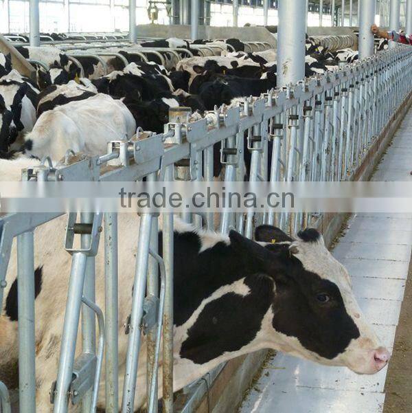 Hot sale wholesale galvanized cattle panels cattle livestock cattle feed raw material cattle headlock