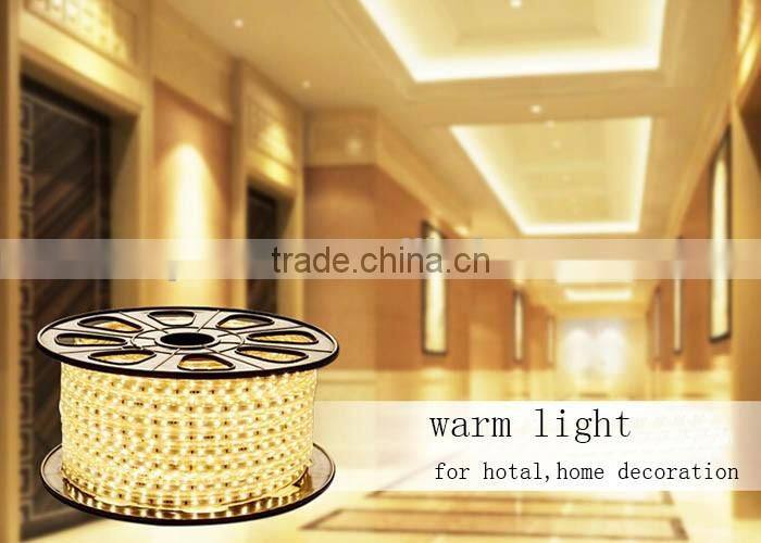 Magnetic Rope Lights Color Changing Strip Light DIY Flexible Strip 110-220V IP67