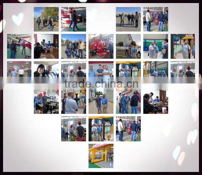 cheap wire rope wireless remote control 250kg electric hoist