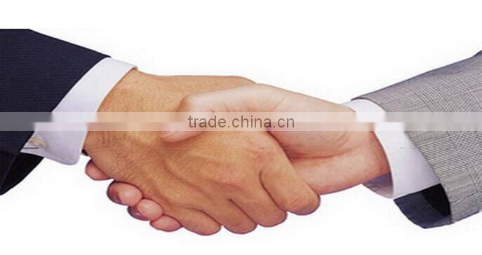 popular christmas motif