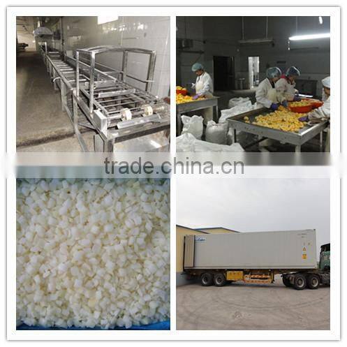 Supply IQF Frozen onion diced