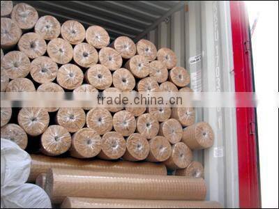 Selling Galvanized Welded Wire Mesh With Good Price Anping Mesh factory