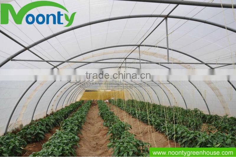 Greenhouse for Vegetable