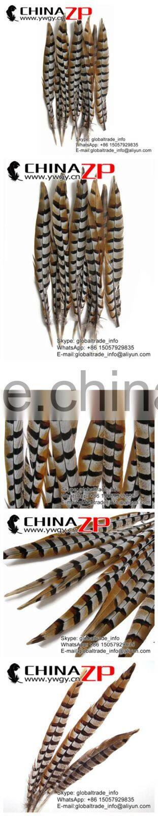 ZPDECOR Wholesale Top Selling Raw 45-50cm Size Reeves Venery Pheasant Tail Feathers for Decorations