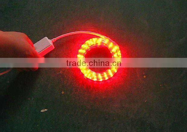 220V Waterproof super brightness LED Strip light