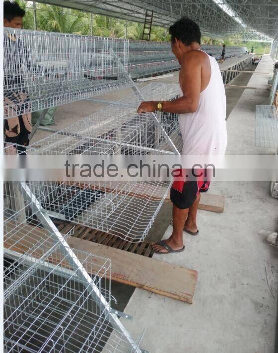 Poultry Cage/poultry equipment