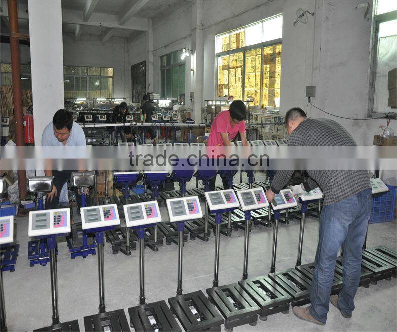 TGT 1000KG Machanical Platform Scale / 500kg weighing mechanical floor scalle