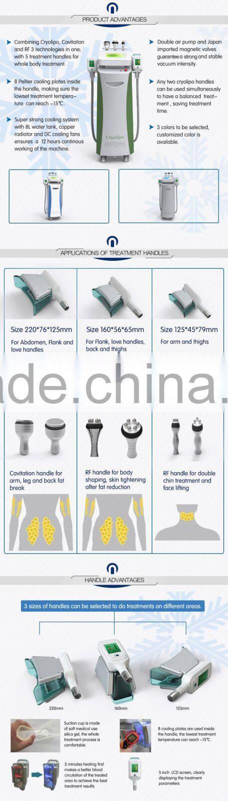 Non Invasive Body Slimming Machine 2 Handpiece Cryolipolisis Fat Freezing Machine