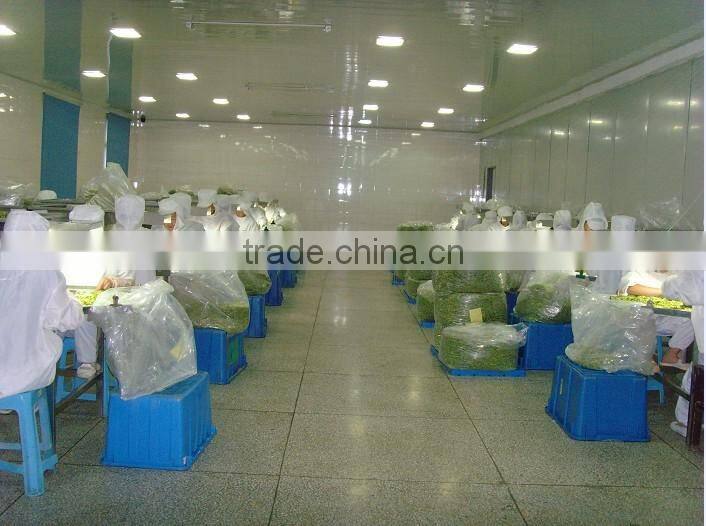 HACCP&ISO hot sell wholesale fruit flavor gummy candy snacks