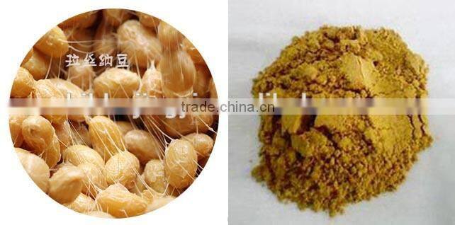 Health supplements Natto Kinase, Nattozimes, Nattokinase